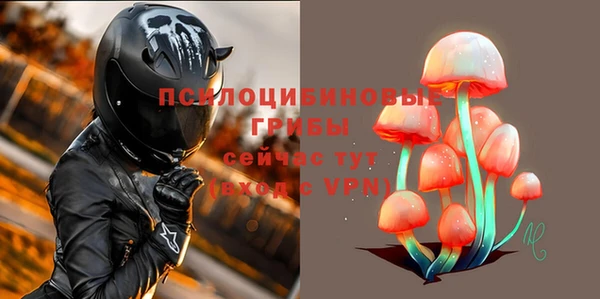 гашик Гусиноозёрск