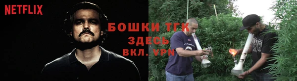 СК Гусев